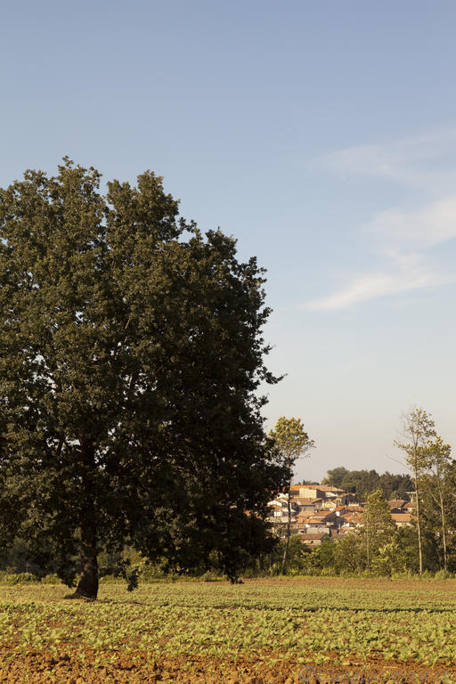 Agriturismo Creta Rossa Torre di Ruggiero エクステリア 写真