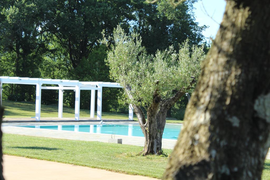 Agriturismo Creta Rossa Torre di Ruggiero エクステリア 写真